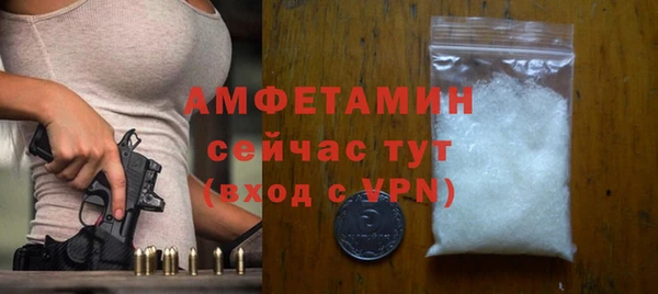 шишки Верхний Тагил