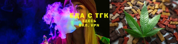 шишки Верхний Тагил