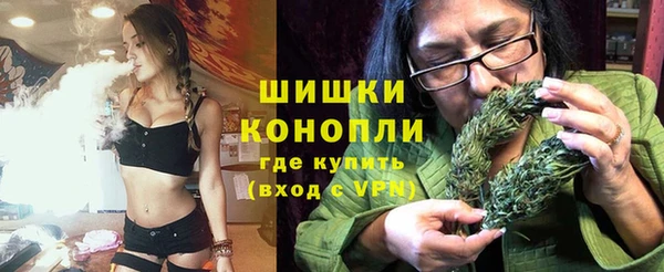 шишки Верхний Тагил