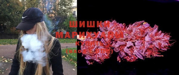 шишки Верхний Тагил