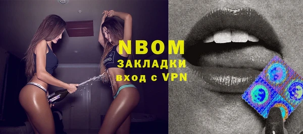шишки Верхний Тагил