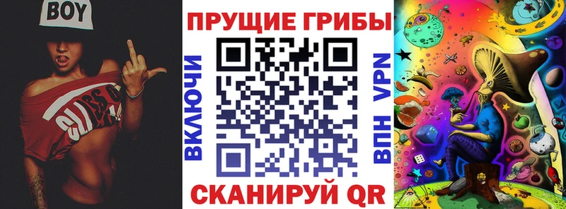 Псилоцибиновые грибы GOLDEN TEACHER  цена   Сыктывкар 